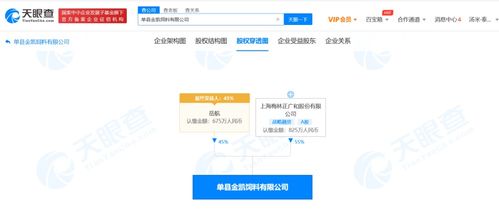 國內貿易代理 連接供需的橋梁與引擎